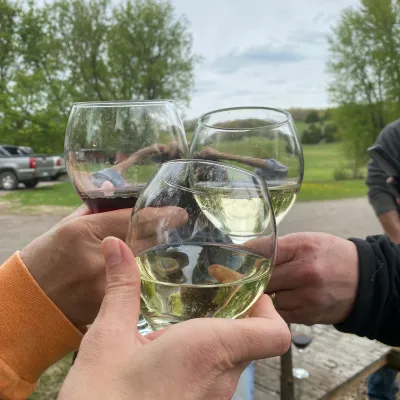 a person holding a glass of wine