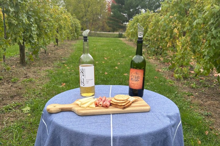 a person that is standing in the grass