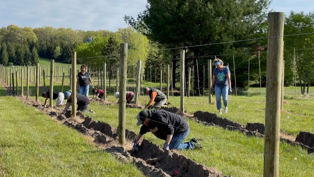 a group of people in a field