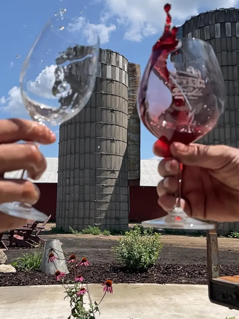 a person holding a glass of wine